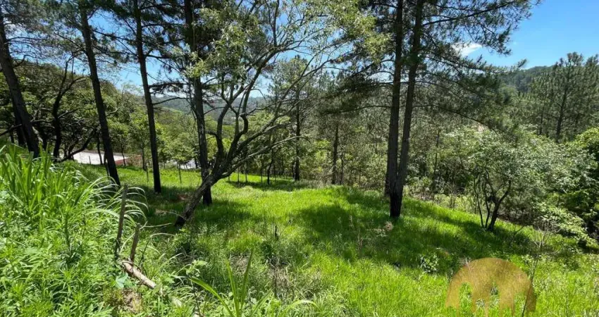 Lotes à venda próximos à fernão dias – oportunidade em mairiporã