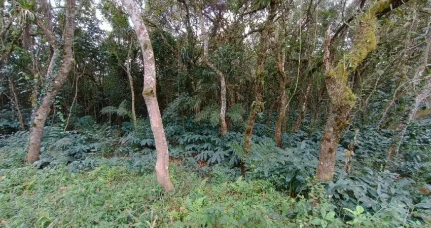 Sítio à venda em Embura, São Paulo-SP: 2 quartos, 1 banheiro e 20.000m² de área! Venha conferir!