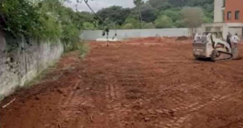 Lote - 100% plano e aproveitável!
