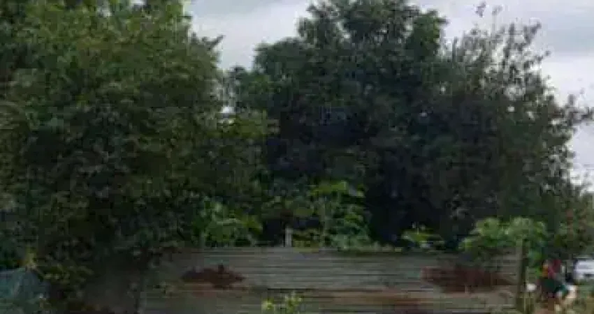 Terreno comercial à venda na Rua Campinas, Quintino Facci I, Ribeirão Preto