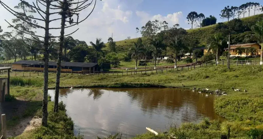 Sitio à Venda no Bairro do Pião em Piracaia - SP - Local totalmente isolado sem vizinhos! Ótima Vis