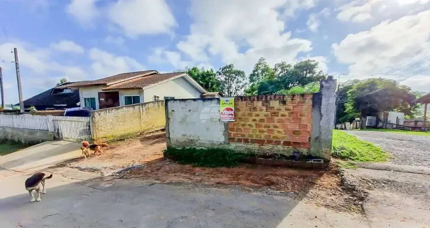 Terreno à venda na Rua Santa Cruz, 29, Cachoeira, São José dos Pinhais