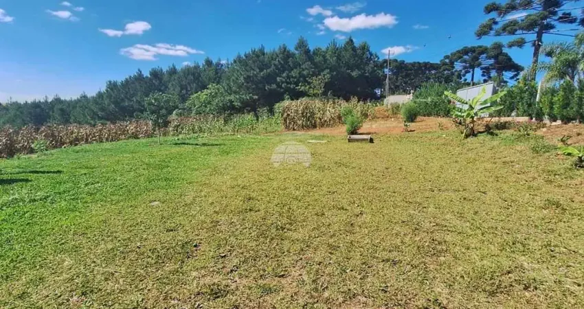 Chácara / sítio à venda na RUA GENEROSO FERREIRA DA ROCHA, Zona Rural, Mandirituba
