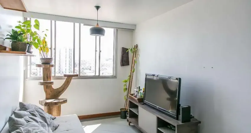 Apartamento à Venda - Parque Novo Mundo , 3 Quartos,  72 m2