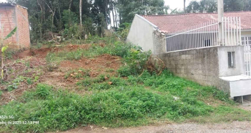 Vendo lindo terreno com 136 m² de esquina Bairro Santa Hena  Piraquara