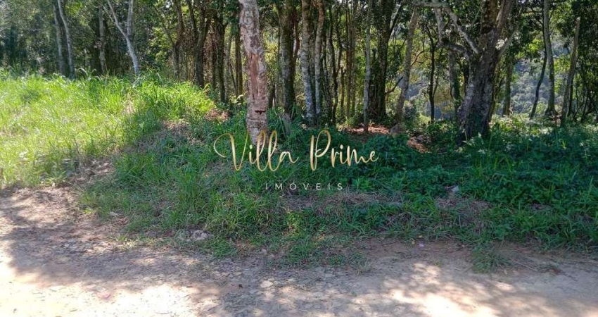 Terreno, Ponte Seca, Ribeirão Pires - R$ 180 mil, Cod: 716