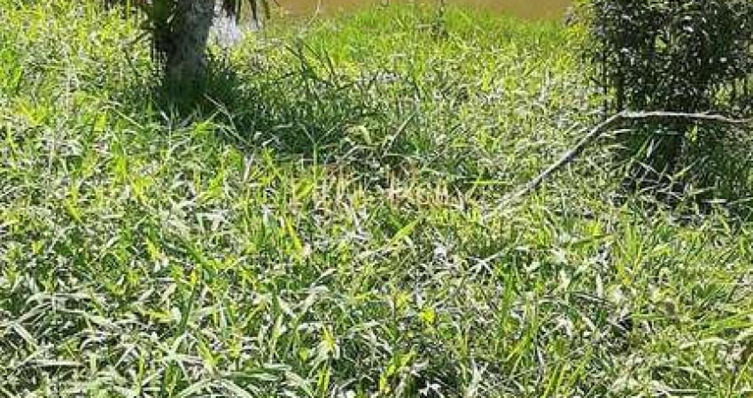 Chácara com 5 quartos, Barro Branco, Ribeirão Pires - R$ 380 mil, Cod: 722