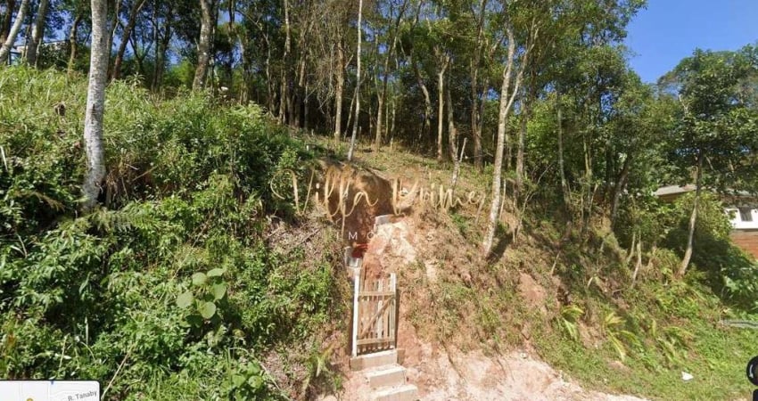 Terreno, Ponte Seca, Ribeirão Pires - R$ 170 mil, Cod: 726