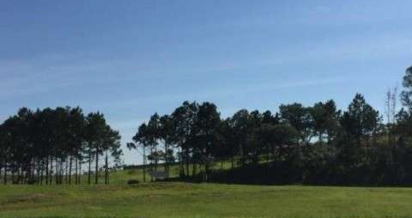 ÁREA PARA LOCAÇÃO NO PARQUE TECNOLÓGICO DE SOROCABA -SOROCABA/SP