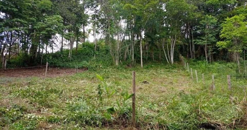 Excelente Terreno Rural com 500m² no Morro do Gato em Palhoça/SC: NÃO ACEITA TROCAS!