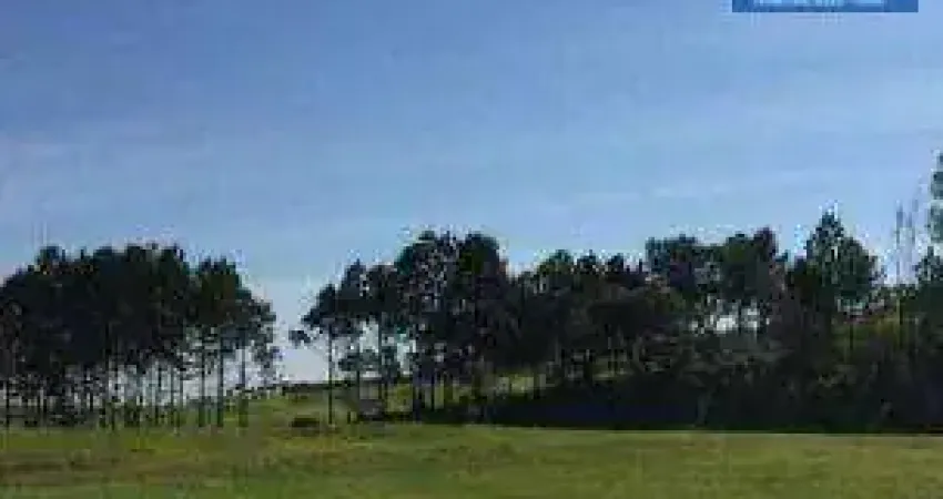 Terreno, 10900 m² - venda por R$ 6.900.000 ou aluguel por R$ 10.000/mês - Vila Artura - Sorocaba/SP