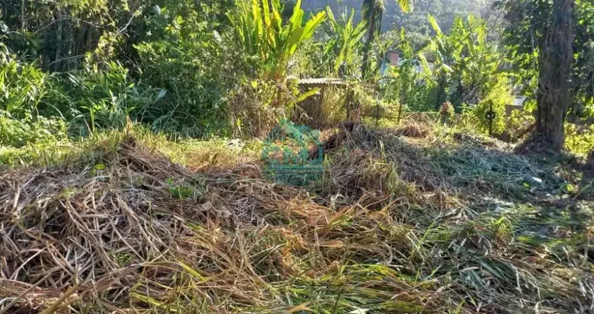 Terreno à venda na Rua Corcovado, 638, Praia da Lagoinha, Ubatuba