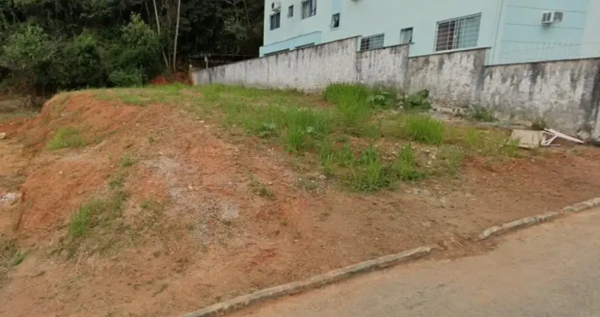 Terreno à venda na Rua Idivaldo Horácio da Silveira, 509, Ipiranga, São José