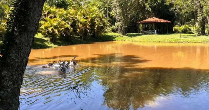 Sítio com 10 dormitórios à venda, 44000 m² por r$ 10.500.000,00 - city castello - itu/sp