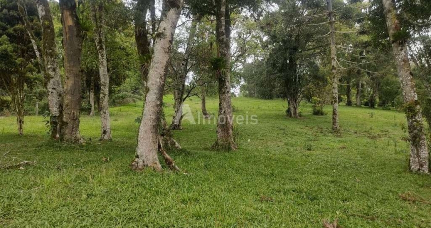 Terreno à venda no Centro, Campo Alegre 