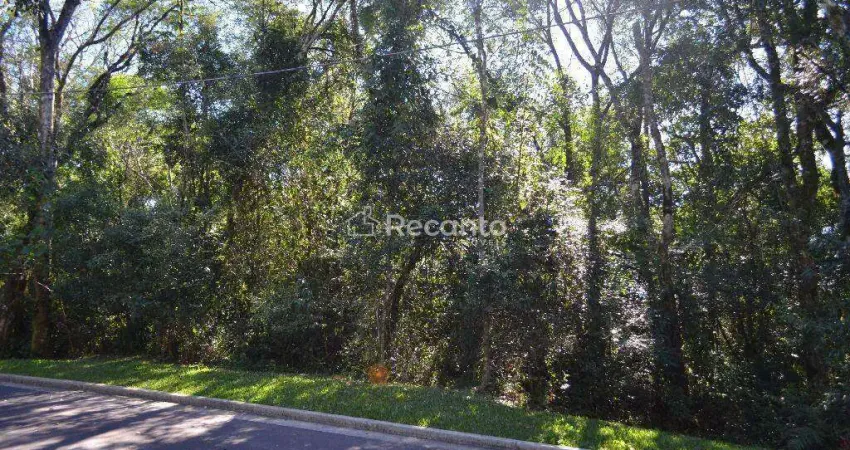 Terreno à venda na Rua Das Papoulas, Vila Suiça, Gramado