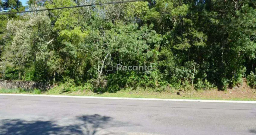 Terreno à venda na Rua Antônio Benneti Sobrinho, 1186, Villagio, Gramado