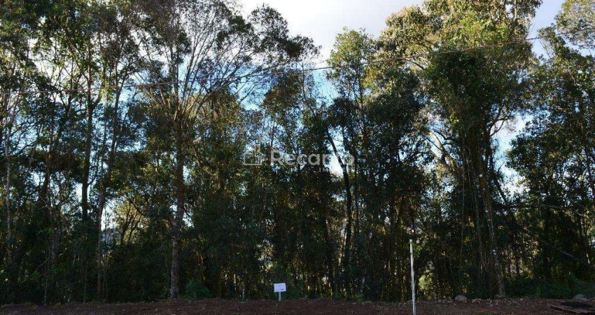 Terreno à venda na Gentil Bonato, Vale das Colinas, Gramado