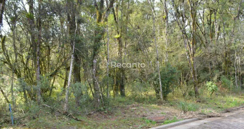 TERRENO À VENDA, 450 M²  - VIVENDAS DO ARVOREDO - GRAMADO/RS