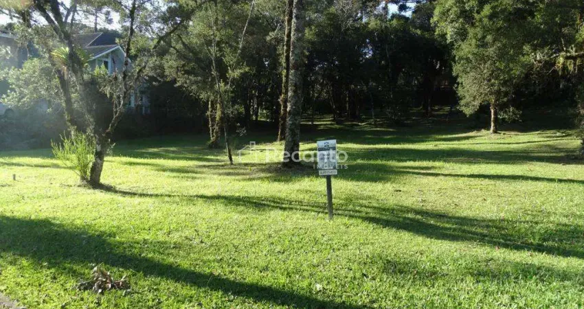 TERRENO À VENDA, 739 M² ALTOS PINHEIROS - CANELA/RS, Centro, Canela - RS