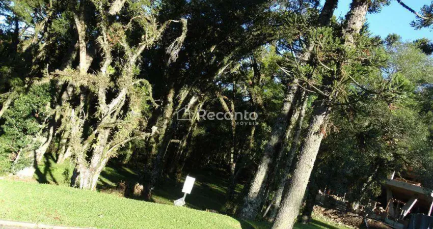 Terreno à venda na Rua Rodolfo Schlieper, 90, Centro, Canela