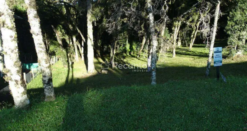 Terreno à venda na Rua Rodolfo Schlieper, 90, Centro, Canela