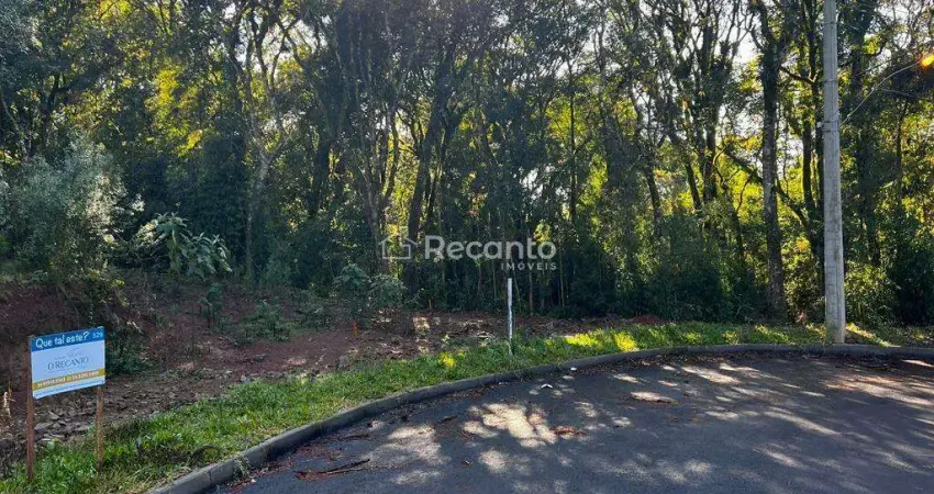 TERRENO À VENDA, 450 M² - LOTEAMENTO MARSAL - GRAMADO/RS