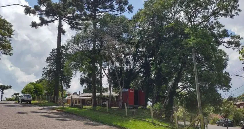 Terreno à venda na Asis Brasil, 218, Maggi, Canela