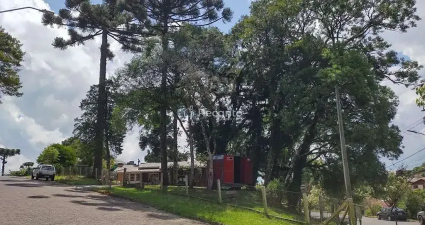 Terreno à venda na Asis Brasil, Maggi, Canela
