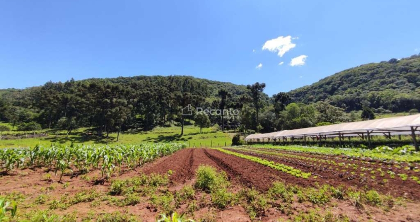 ÁREA DE 32000² A VENDA EM GRAMADO, LINHA AVILA!, Estrada Linha Avila, Gramado - RS