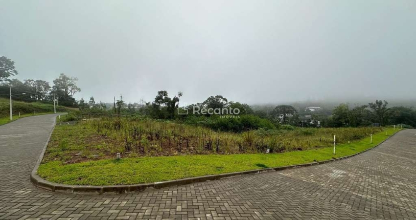 Terreno à venda na Avenida Trab., Várzea Grande, Gramado