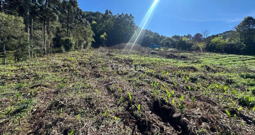 TERRENO A VENDA NA LINHA FURNA, Linha Furna, Gramado - RS