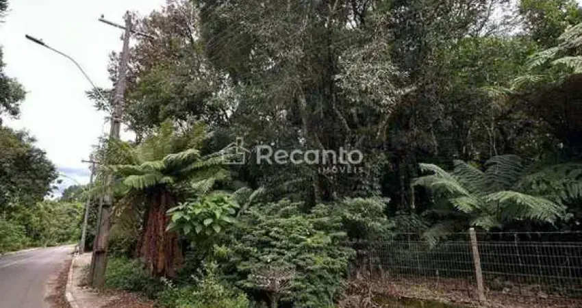 Terreno à venda na Rua Dos Pinheiros, Alpes Verdes, Canela