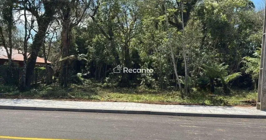 Terreno à venda na Rua Dos Pinheiros, Alpes Verdes, Canela