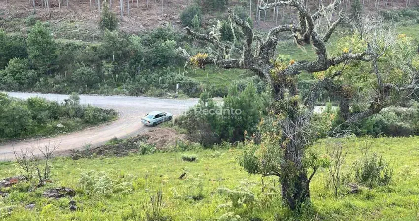 TERRENO A VENDA NO SALTO COM 437,00M² , Eletra, Sao Francisco de Paula - RS