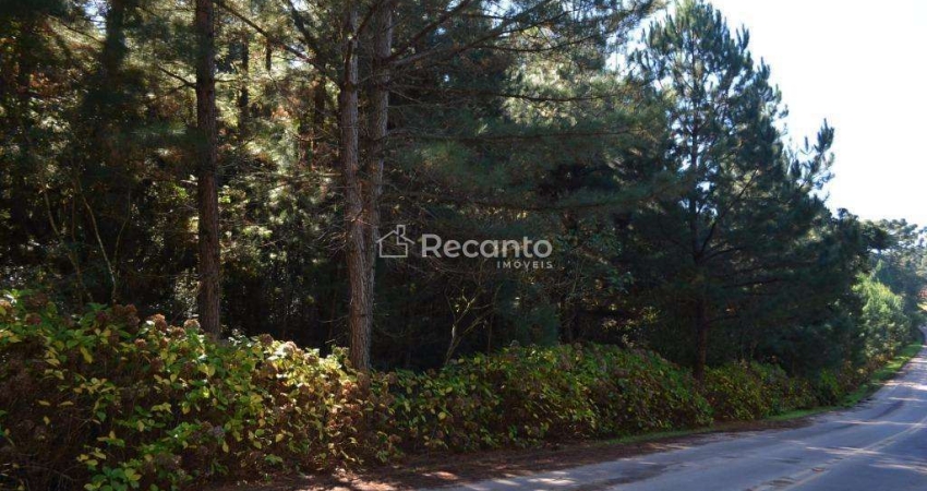 ÁREA À VENDA, 82000 M² - MATO QUEIMADO - GRAMADO/RS