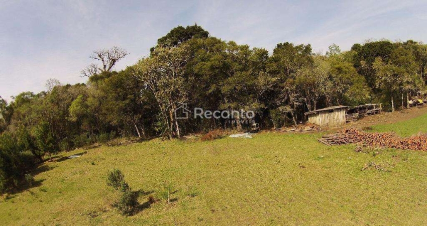 Apartamento à venda na Estrada Velha do Caracol, Mato Queimado, Gramado