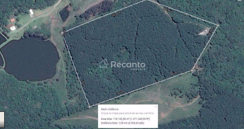 ÁREA À VENDA, 118079 M²  MATO QUEIMADO - GRAMADO/RS