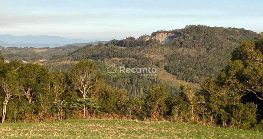 ÁREA À VENDA, 30000 M²  - SERRA GRANDE - GRAMADO/RS