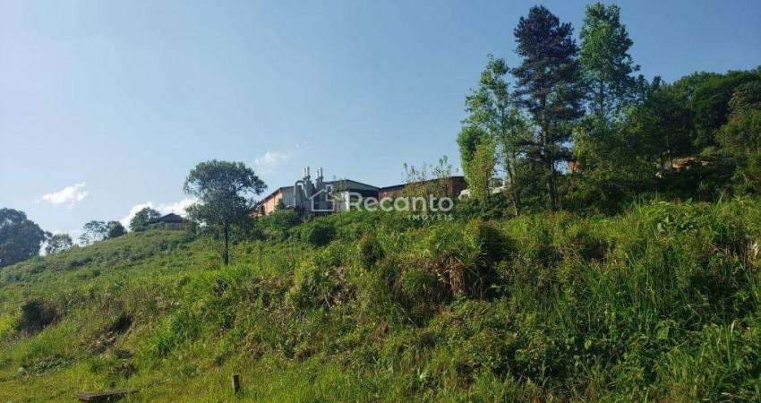ÁREA À VENDA, 36000 M²  - VÁRZEA GRANDE - GRAMADO/RS