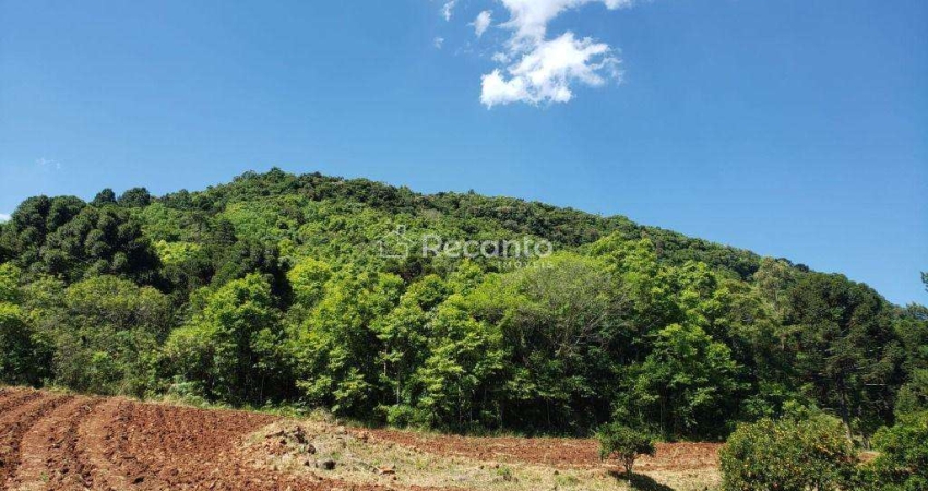 Apartamento à venda na Estrada Linha Bonita, Linha Bonita, Gramado