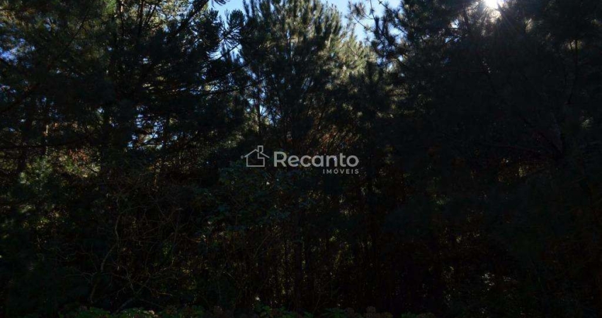 ÁREA À VENDA, 80000 M² - MATO QUEIMADO - GRAMADO/RS