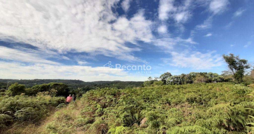 ÁREA À VENDA, 144000 M²  - SERRA GRANDE - GRAMADO/RS