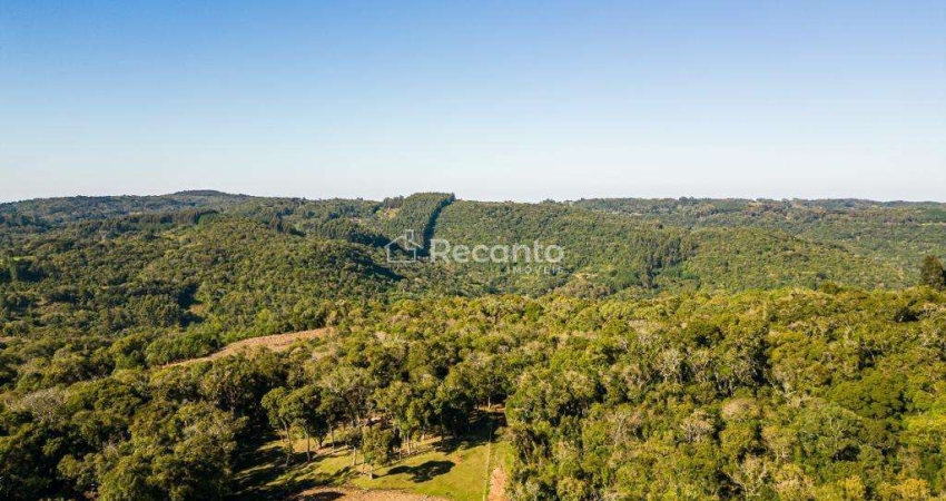 Apartamento à venda na Estrada das Acácias, Centro, Três Coroas