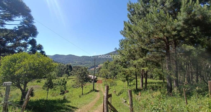 Apartamento à venda na Estrada Linha São Paulo, Linha São Paulo, Canela
