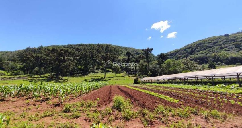 Apartamento à venda na Estrada Linha ávila, Linha Ávila, Gramado