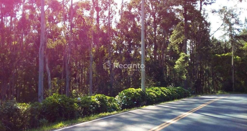 Apartamento à venda na Rua Antônio Beneti Sobrinho, Mato Queimado, Gramado