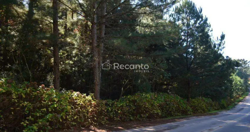 Fazenda à venda na Estrada Caracol, 1, Mato Queimado, Gramado