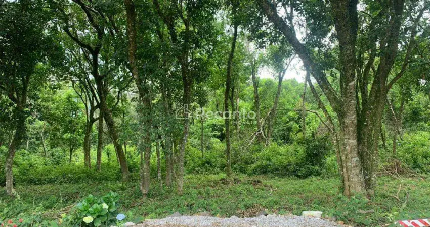 Fazenda à venda na Travessa do Colégio, Belvedere, Gramado