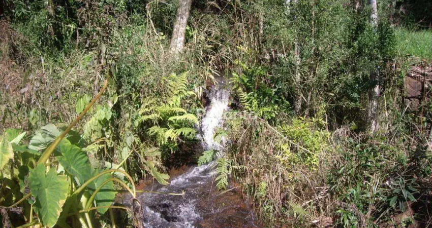 Fazenda à venda na Estrada Linha Araripe, 1, Araripe, Gramado